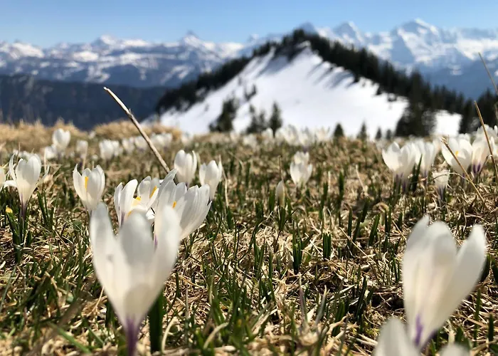 Bijou Waldeggli * Беатенберг